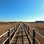 Hidden Gem On The North End Of Carolina Beach