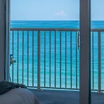 Pelican Watch #906