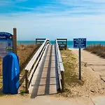Pelican Watch #307