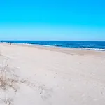 Coral Surf #A1 - Beachy Keen