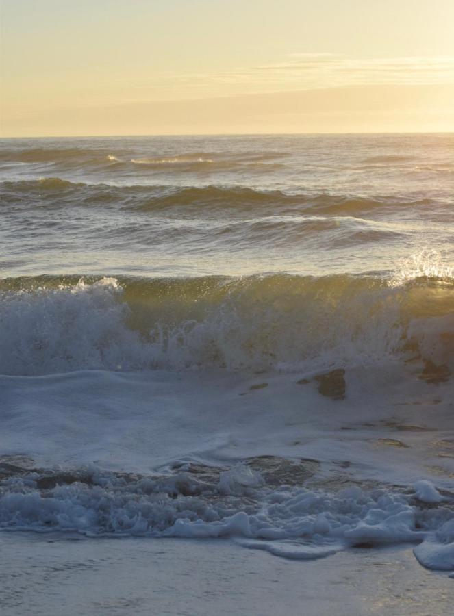 The Manifestation Destination * Carolina Beach