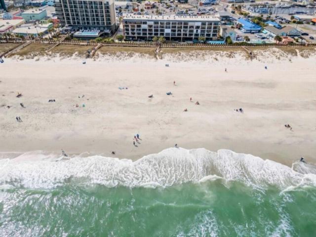 Southern Comfort: Oceanfront With Panoramic Views Apartment *
