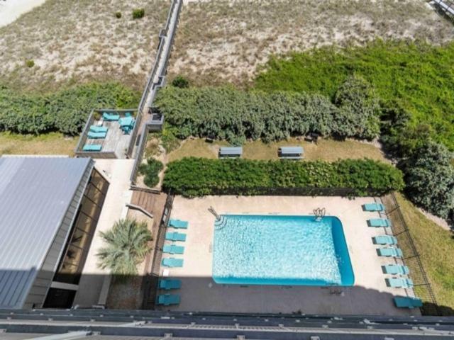 Casa Pelicano - Oceanfront Luxury! Enjoy Epic Ocean Views From 7th Floor Dream Apartment *