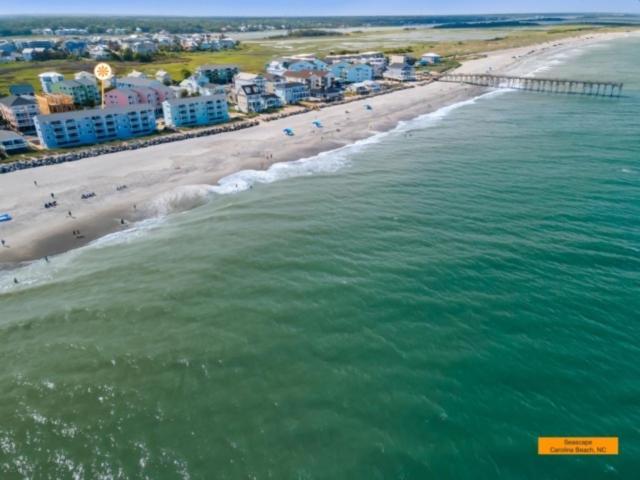 Parrot Escape: Oceanfront With Carolina Sunrise Views Apartment Carolina Beach