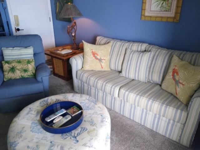 Parrot Escape: Oceanfront With Carolina Sunrise Views Carolina Beach