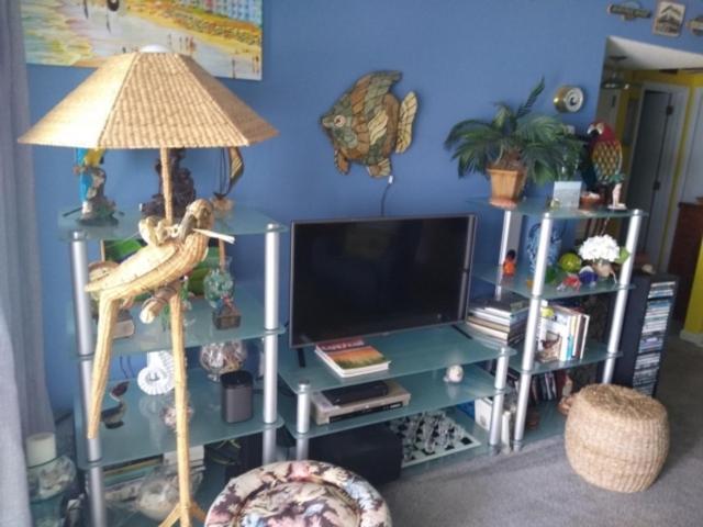 Apartment Parrot Escape: Oceanfront With Carolina Sunrise Views