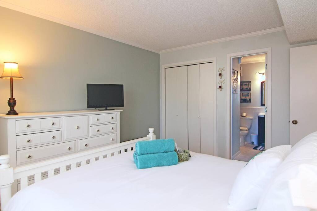 Hidden Gem On The North End Of Carolina Apartment