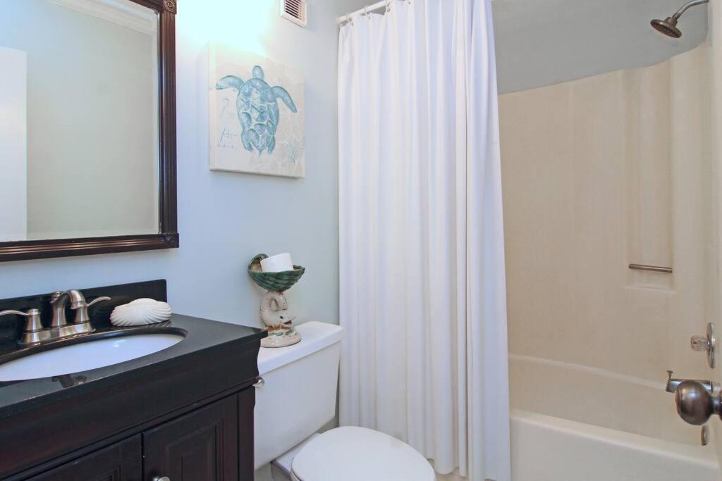 Apartment Hidden Gem On The North End Of Carolina