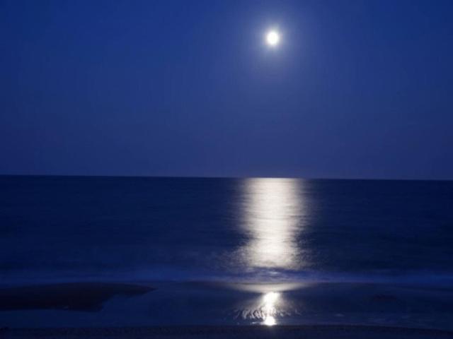 A Dream Apartment Carolina Beach