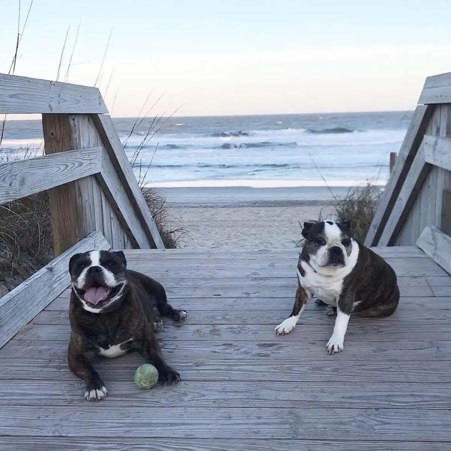 Cb Surf Shack Villa Carolina Beach