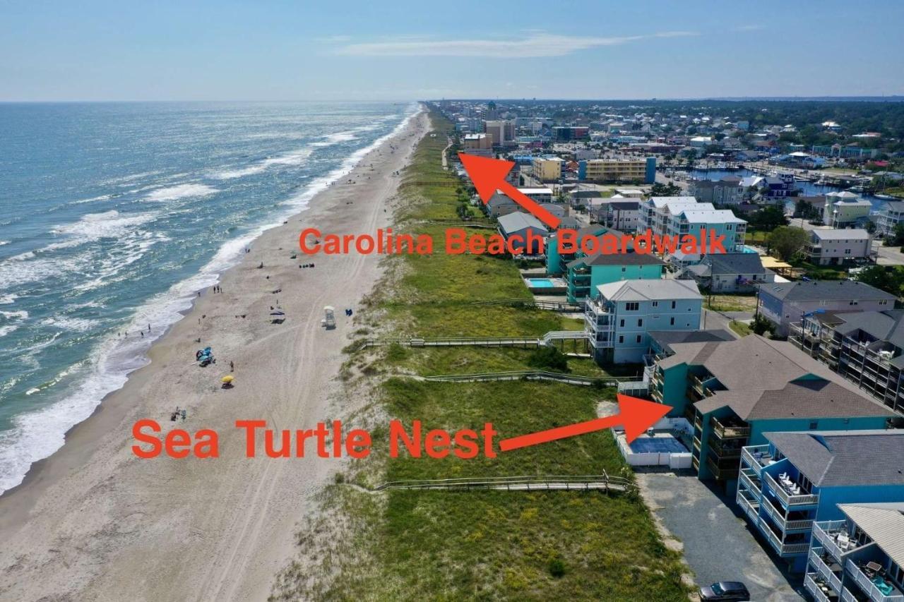 Sea Turtle's Nest Holiday home Carolina Beach