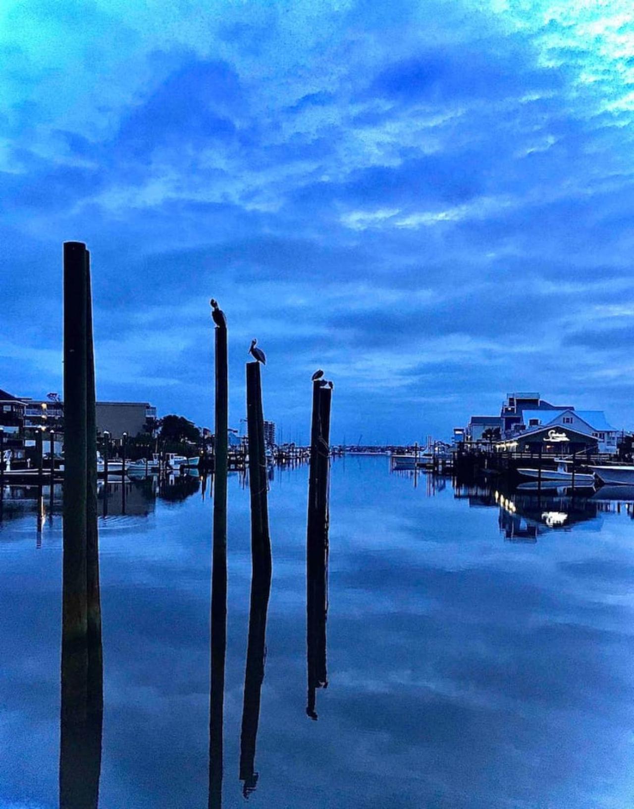Seas The Day With Fantastic Marina Views * Carolina Beach