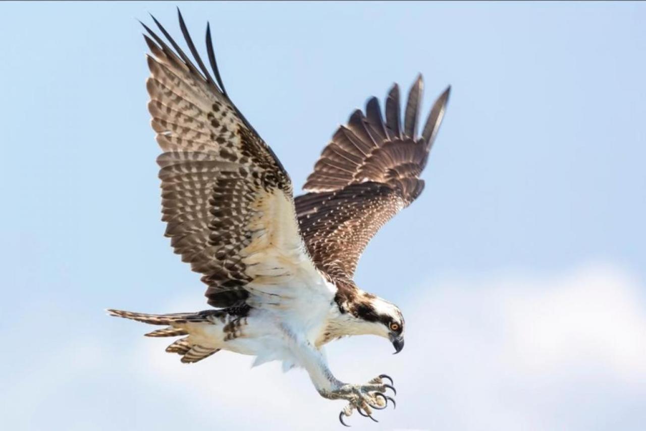 Holiday home Sea Drift Hawks Nest *