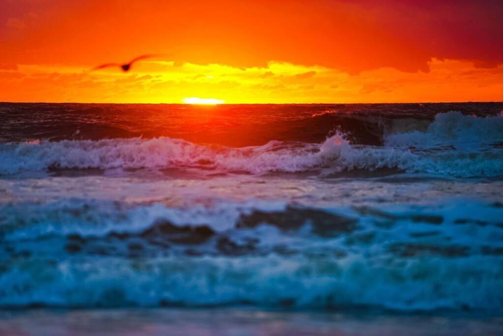Social & Coastal! *