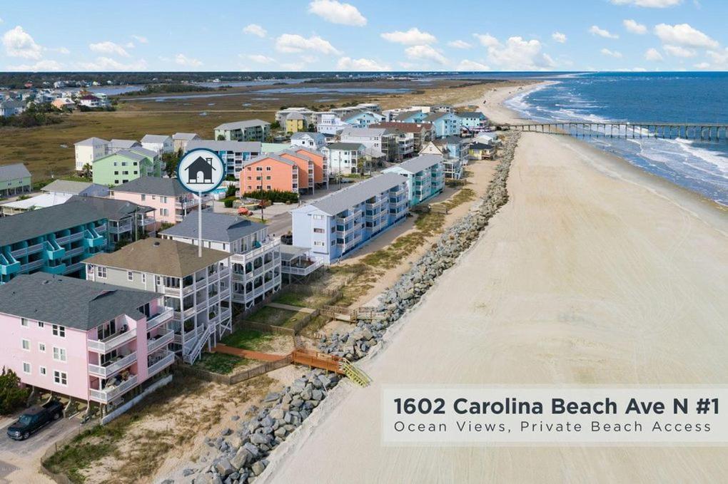 Dolphin Watch Carolina Carolina Beach