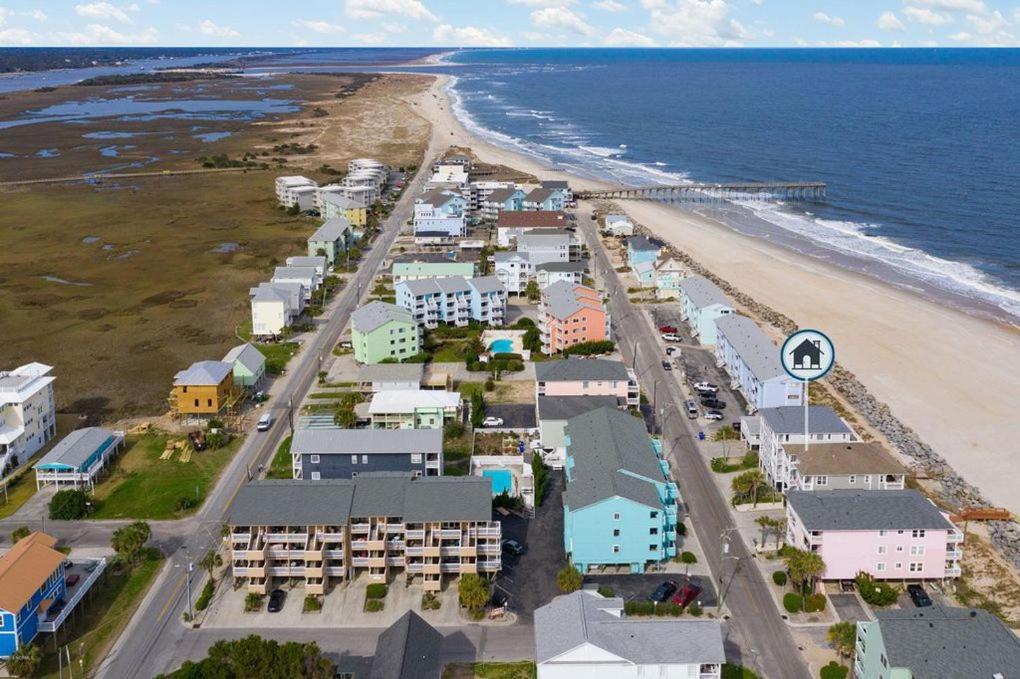 Dolphin Watch Carolina
