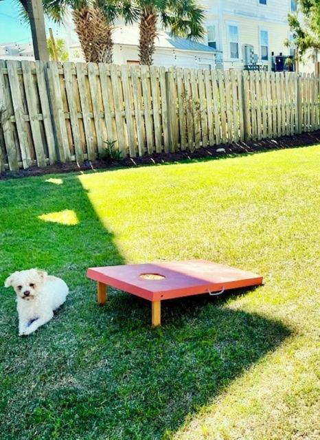30 Sec To The Beach, Sun, & Sunrises With A Family & Pet Friendly Backyard!