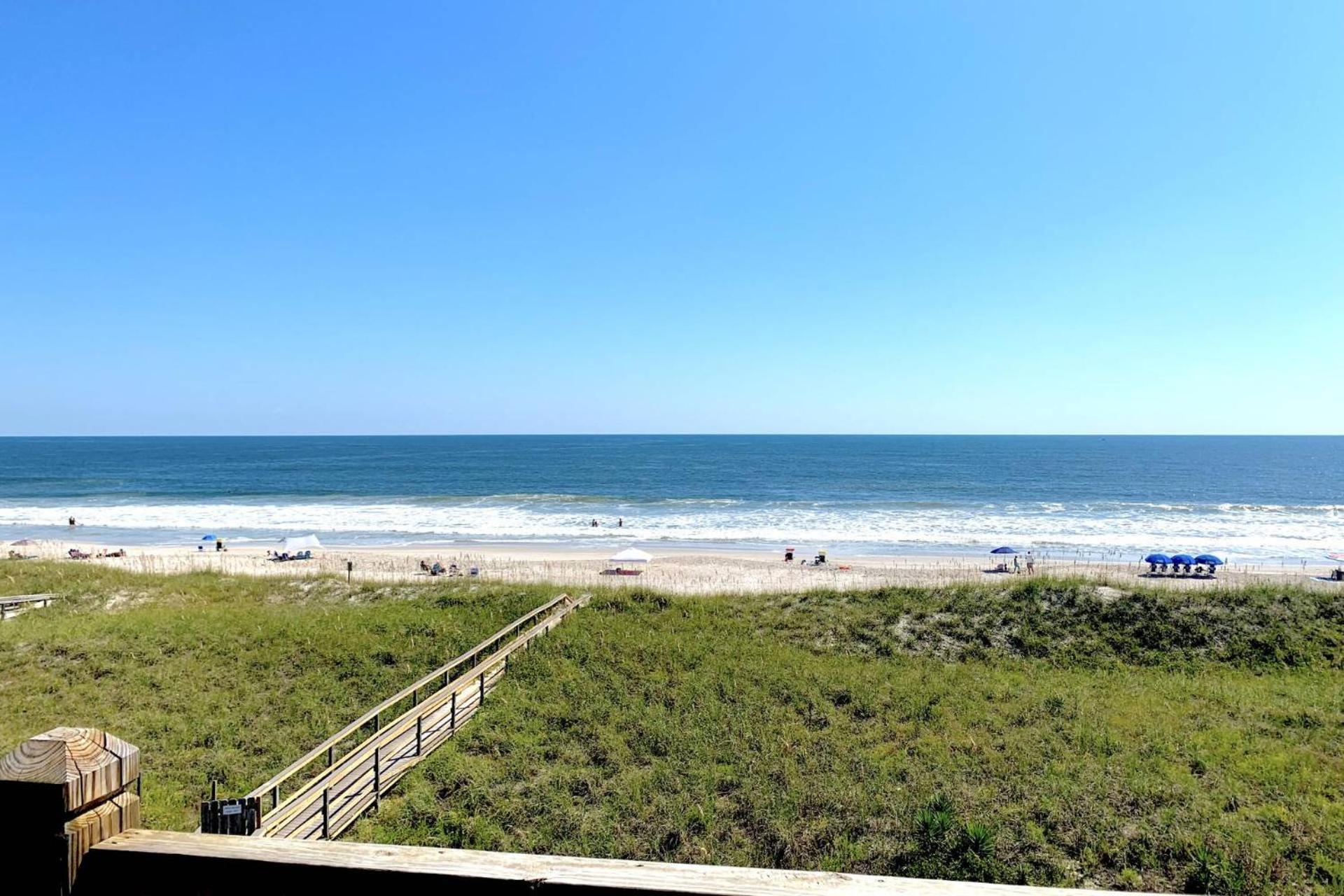 Sea Turtle's Nest Carolina Beach