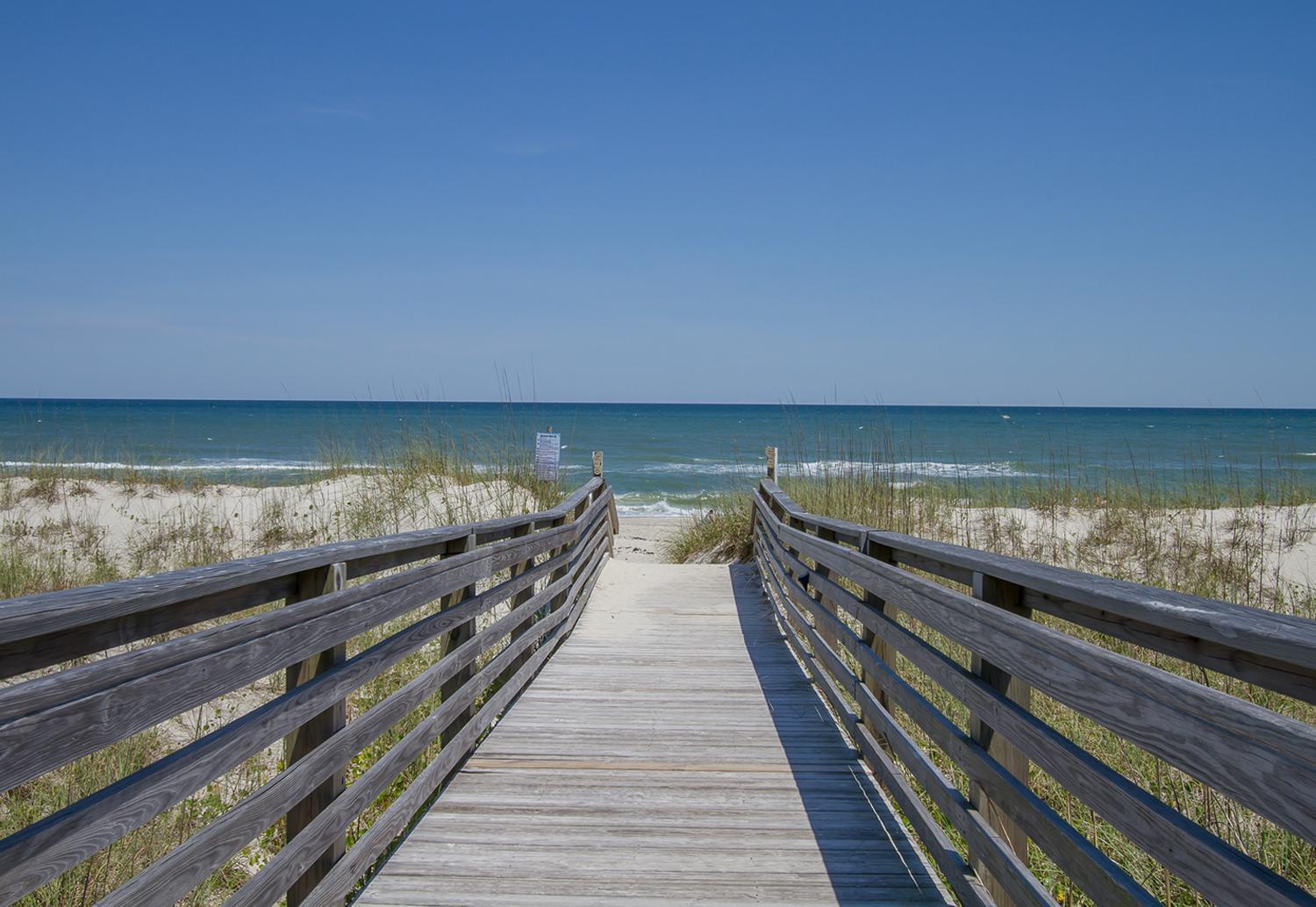 The Carolina Kraken By Sea Scape