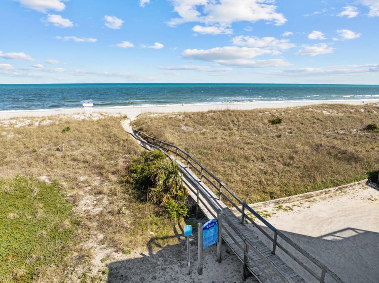 The Coastal Nest